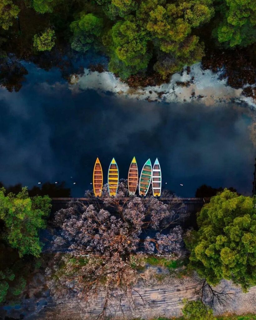Laguna e Karavastës